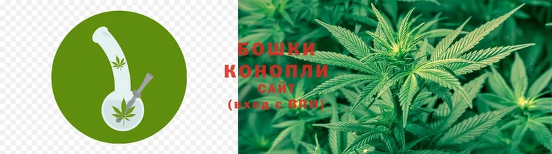 Каннабис THC 21%  купить наркотики цена  Сыктывкар 